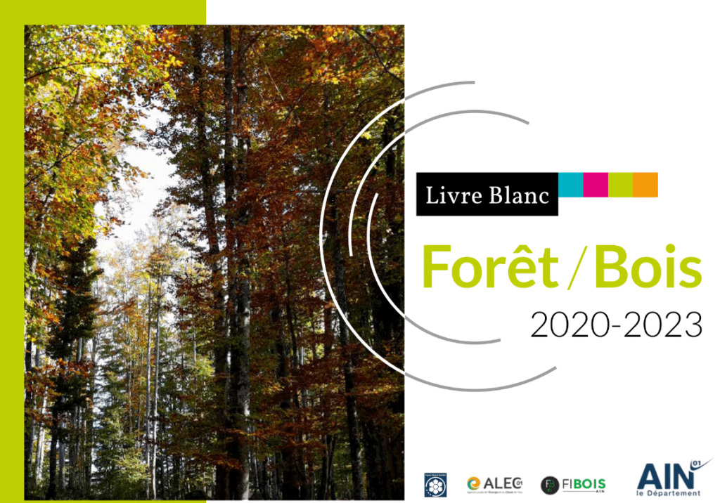 Un programme d'actions sur 4 ans comprenant 3 axes et 25 actions autour de 3 axes La forêt Aindinoise, les entreprise et industries du bois et la filière bois de demain 