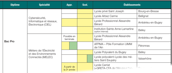 Fiche filière des formations aux métiers de l'informatique et du numérique dans l'Ain