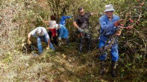 debroussaillage-randonneurs Ain Vaux-en-Bugey