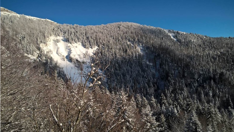 flanc de montagne