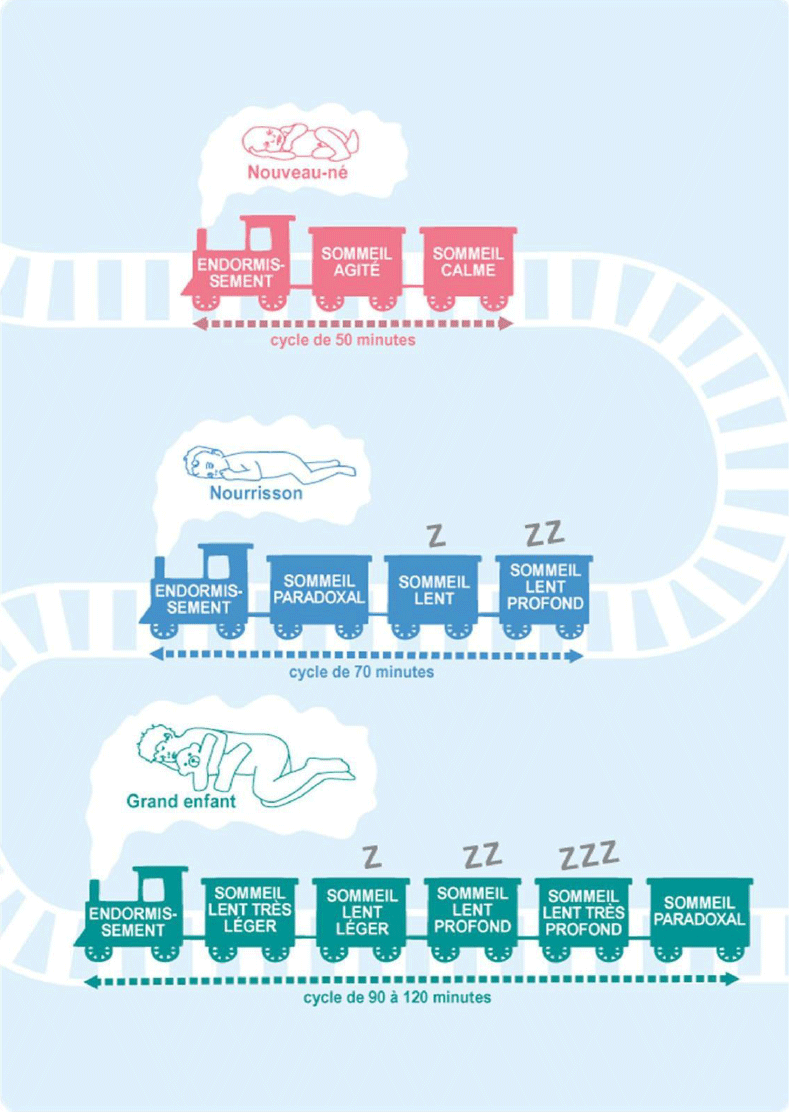 Sommeil bébé : tout savoir de 0 à 6 mois