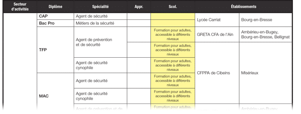 vignette de la fiche AFOR - filière des formations aux métiers de la sécurité et de la défenses dans l'Ain