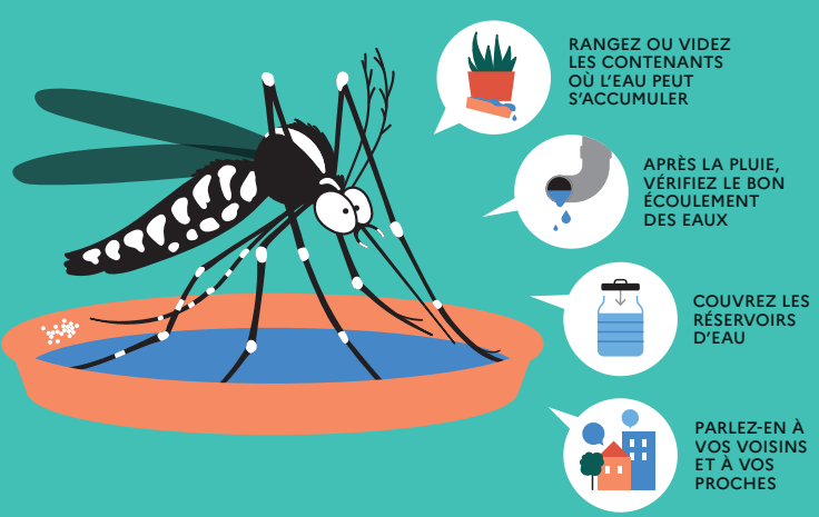 affiche représentant un moustique tigre avec 4 bonnes pratiques pour lutter contre cet insectes