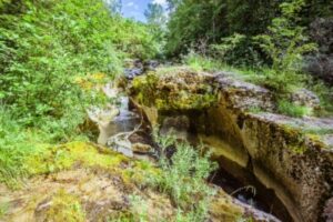 Gorges de Thurignin (ENS) Ain