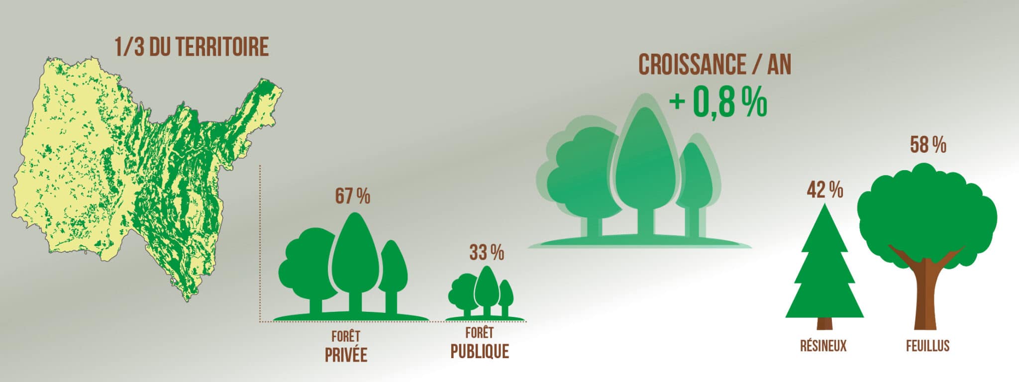 La forêt aindinoise en chiffres 2021