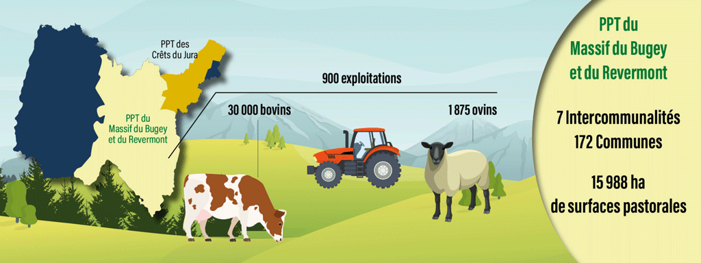 Chiffres du Plan Pastoral Territorial Massif du Bugey et du Revermont (Ain)