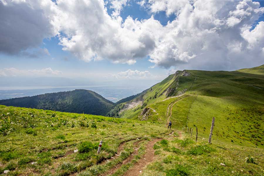Paysage de l'Alpage de la Chenaillette avec un sentier de randonnee Montagnes de l'Ain