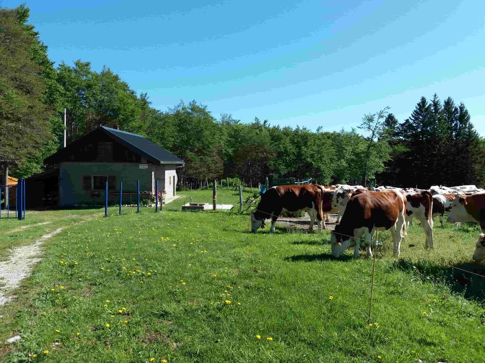 Aménagements de la SEMA en faveur de l'activité pastorale