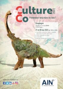 Culture & Co : Dinoplagne