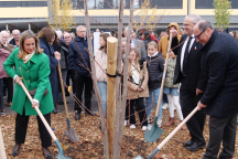 Plantation d'un érable par les élus