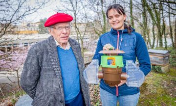 Lutte contre le frelon asiatique : le Département poursuit son engagement